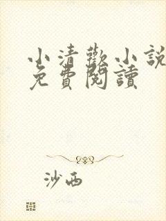 小清欢小说全文免费阅读封面