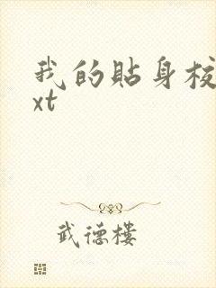 我的贴身校花txt