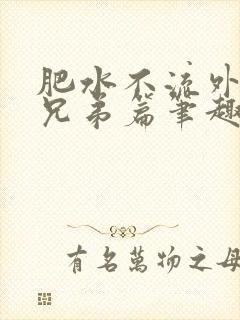 肥水不流外人田兄弟篇笔趣阁小说封面