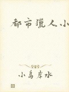 都市猎人小说