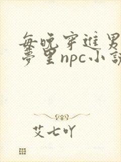 每晚穿进男神的梦里npc小说