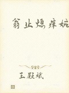 翁止熄痒婉燕封面