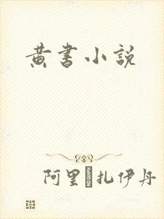 黄书小说
