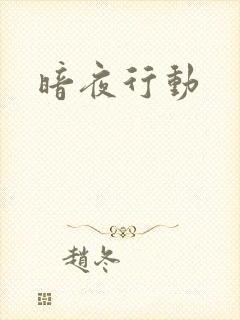 暗夜行动