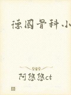 德国骨科小说封面