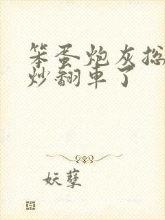 笨蛋炮灰总被爆炒翻车了