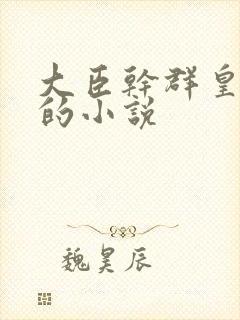 大臣干群皇太后的小说