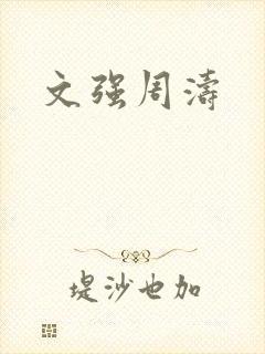 文强周涛