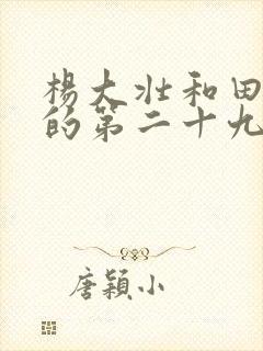 杨大壮和田桂花的第二十九