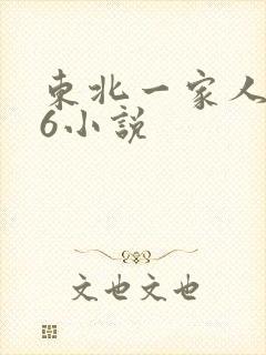 东北一家人1一6小说