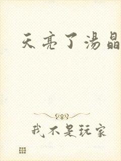 天亮了汤晶锦封面