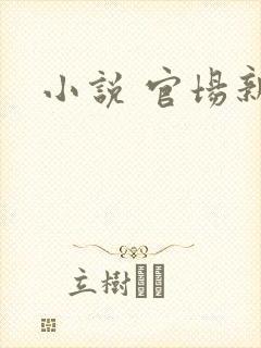 小说 官场新贵