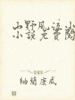 山野风流小神医小说免费阅读封面
