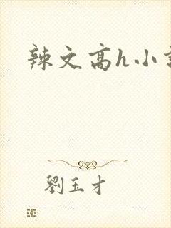 辣文高h小说封面