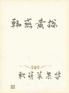 韩燕黄总封面