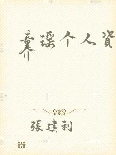 童瑶个人资料简介封面