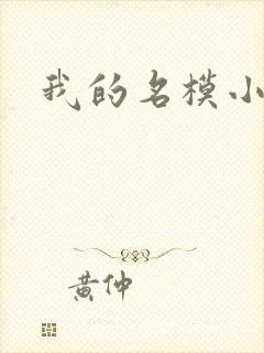 我的名模小娇妻