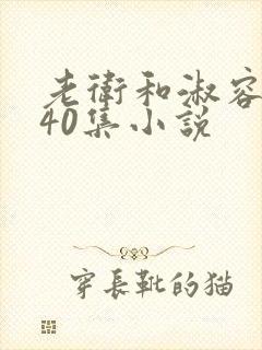 老卫和淑容1-40集小说封面