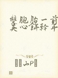 双胞胎一前一后夹心饼干年下