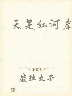 天是红河岸小说封面