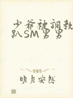 少爷被调教室跪趴SM男男