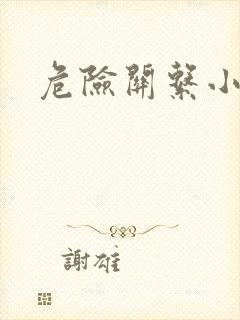 危险关系小说封面