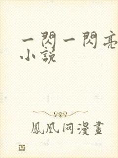 一闪一闪亮星星小说