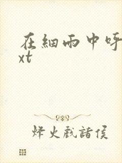 在细雨中呼喊txt