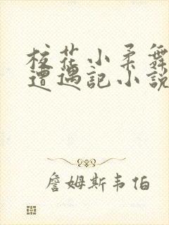 校花小柔舞蹈室遭遇记小说