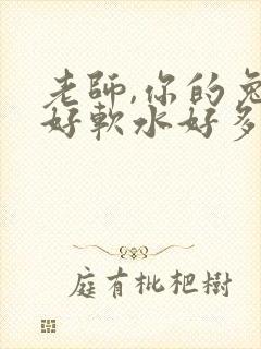 老师,你的兔子好软水好多