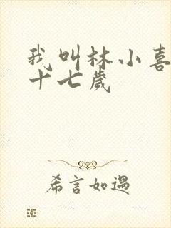 我叫林小喜今年十七岁封面