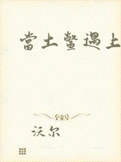 当土鳖遇上海龟封面