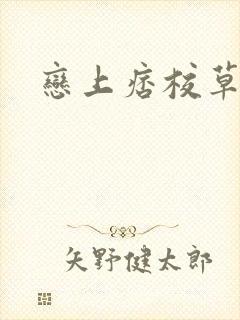 恋上痞校草封面