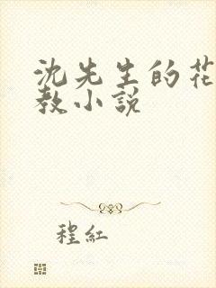 沈先生的花式调教小说