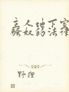 主人地下室惩罚骚奴的法律后果