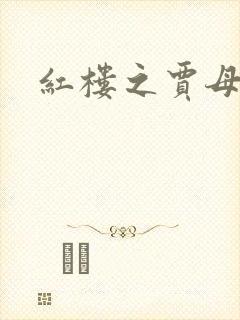 红楼之贾母封面