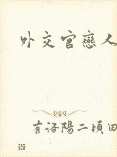 外交官恋人小说