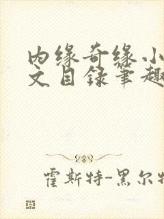 内缘奇缘小说全文目录笔趣阁封面