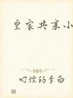 皇家共享小公主封面