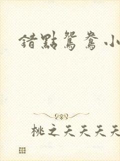 错点鸳鸯小说