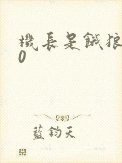 机长是饿狼第10封面