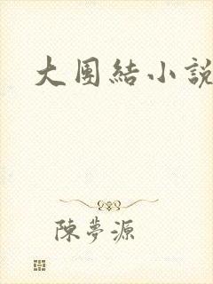 大团结小说全文封面