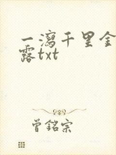 一泻千里金银花露txt