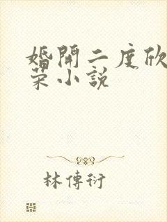 婚开二度欣欣向荣小说