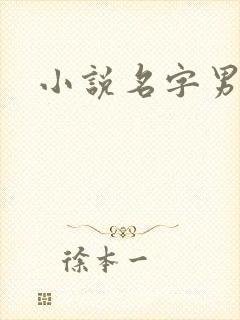 小说名字男生