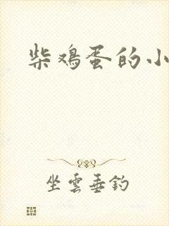 柴鸡蛋的小说