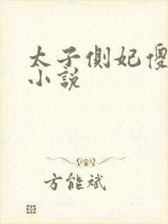 太子侧妃傻乎乎小说