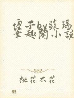 傻子by苏玛丽笔趣阁小说