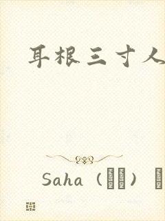 耳根三寸人间封面