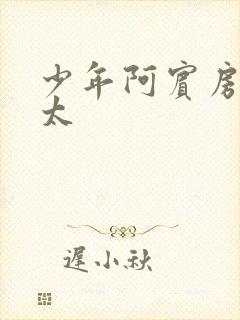 少年阿宾房东太太封面